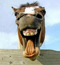 Нюша Лотник