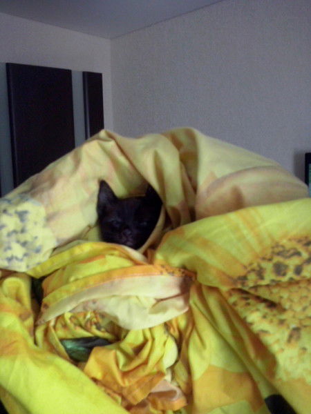 Николай Семионов