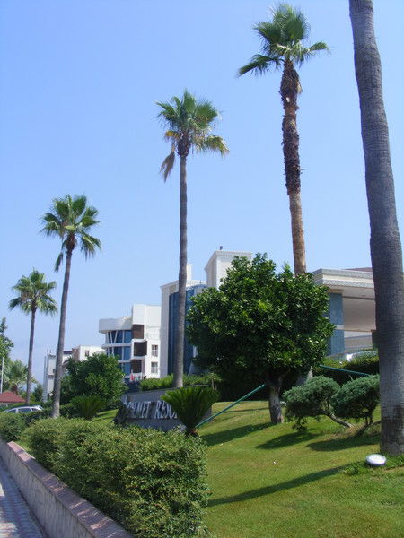 Елена Жежель