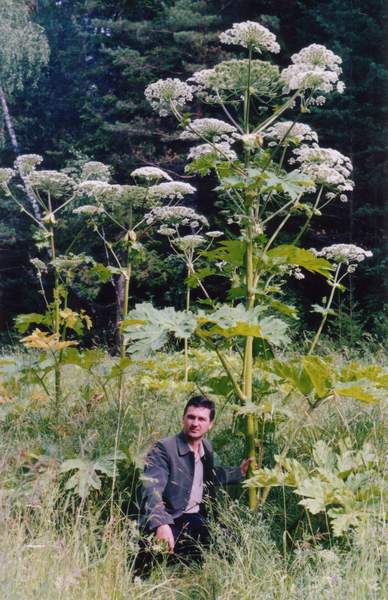 Евгений Кукарцев