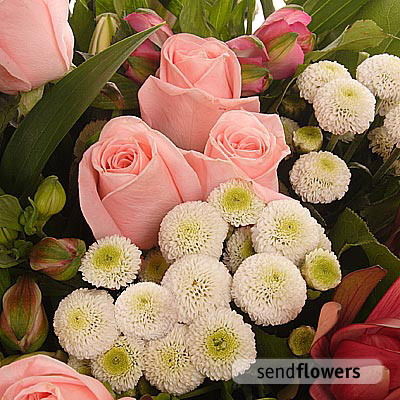 Анара Косымбекова