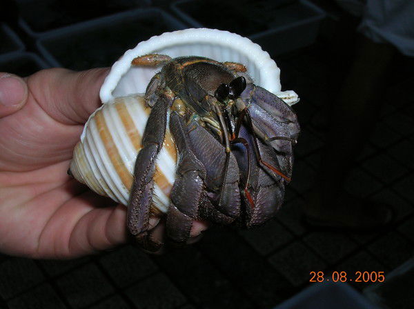 Наташка Наташка