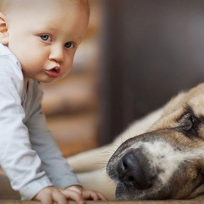 Алексей Галеня