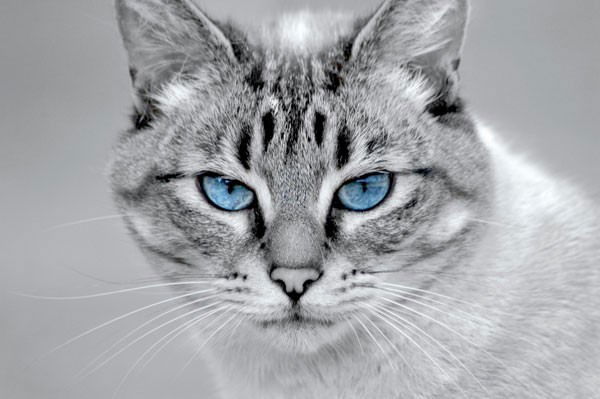 Кустов Игорь