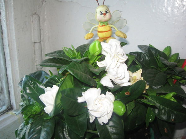 Ольга Рябкова