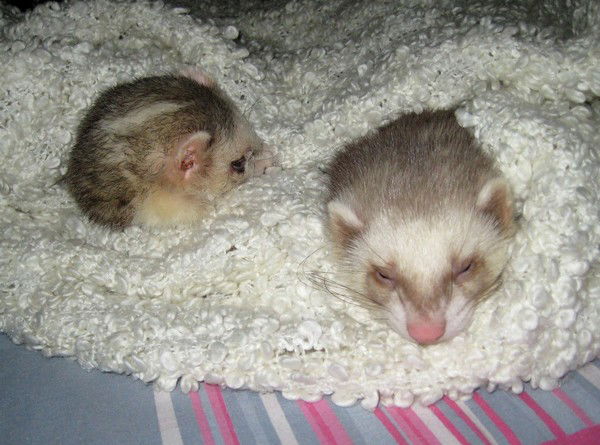 Анастасия ))))))))))