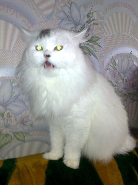 Тюряга Тюряга