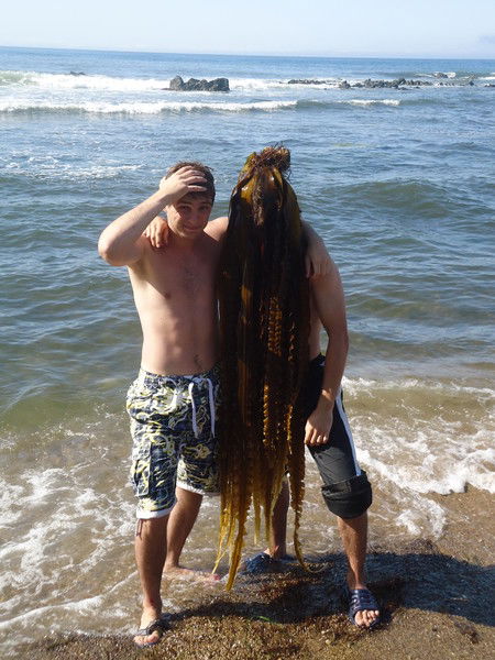 Рома Бредихин