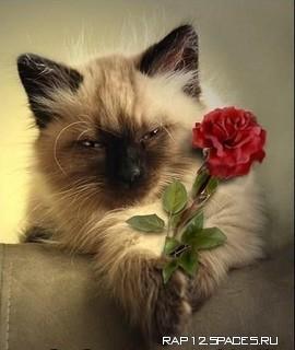 Марина Николаевна