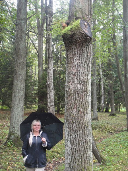 Виля Сахаутдинова