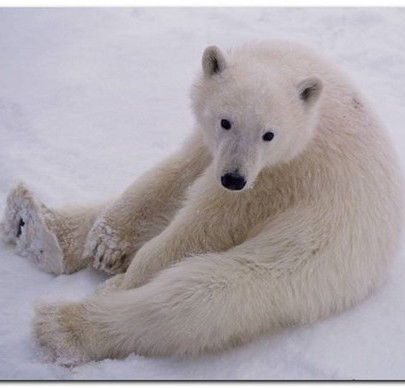 Евгения Костикова