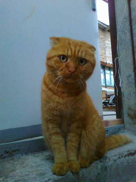 Рома Дранишников