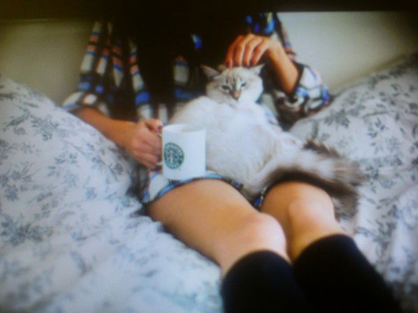 Ника Сальваторе