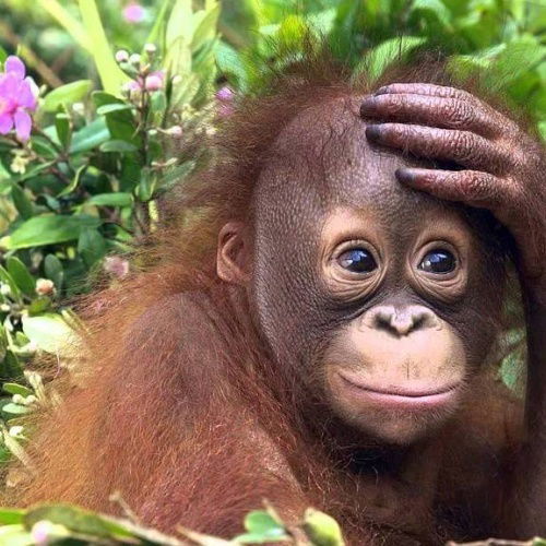 Александр Слипченко