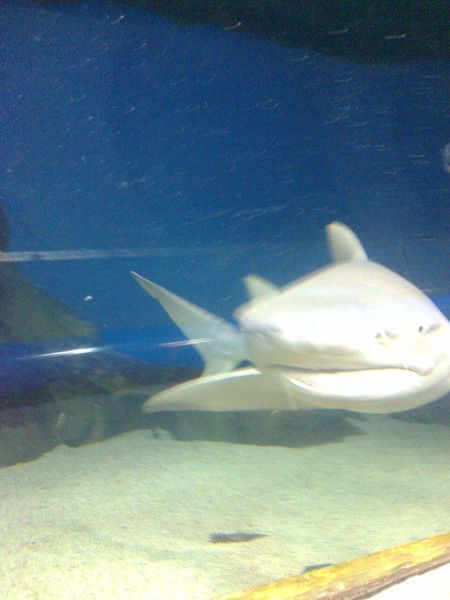 Сембек Ашикбаев