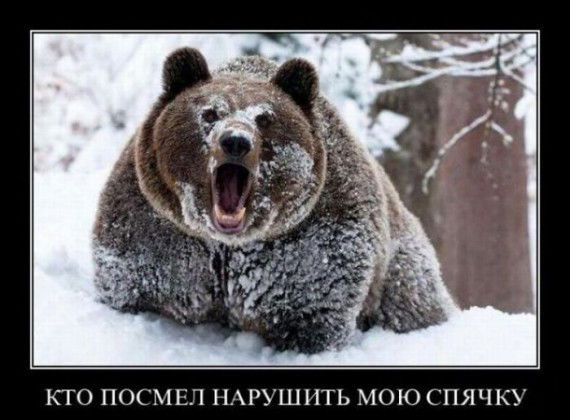 Слава Белов