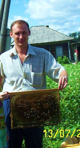 Андрей Шклудов