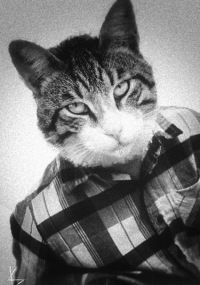 Антон Веденский