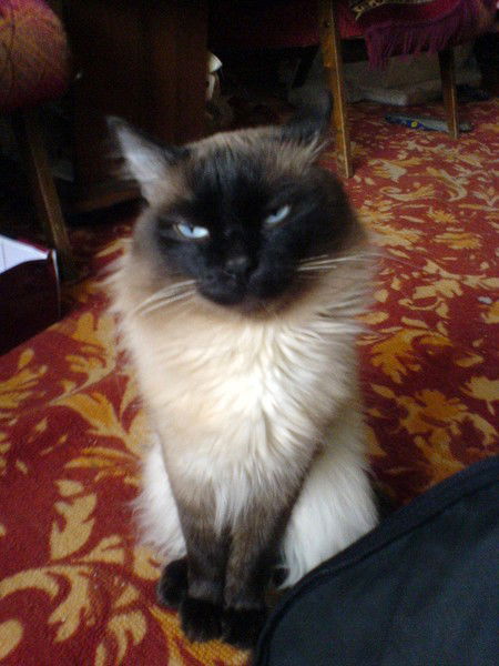 Алексей Симонов