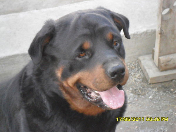 Александр Климов