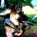 Алексей Калиев