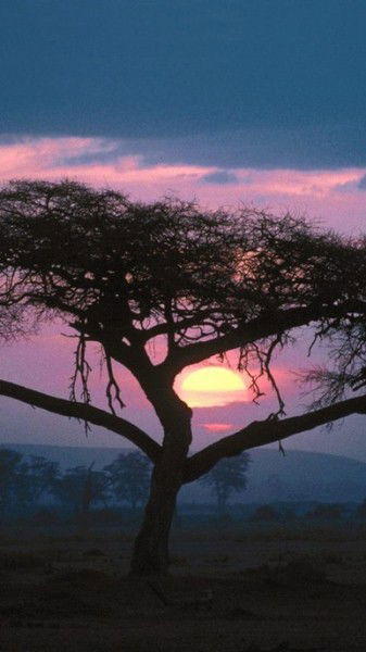 Неизвестно Неизвестно