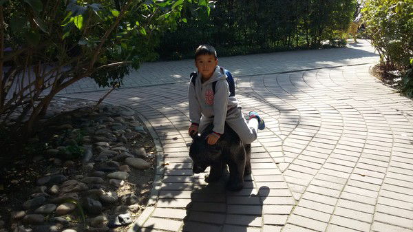 Альбина Мубаракова