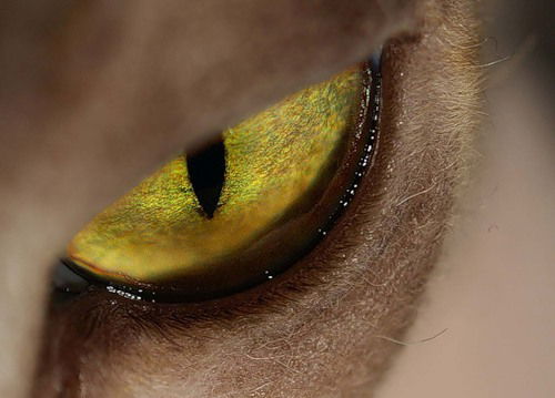 Игорь Журавлев