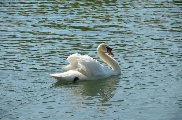 Валера Корнаков