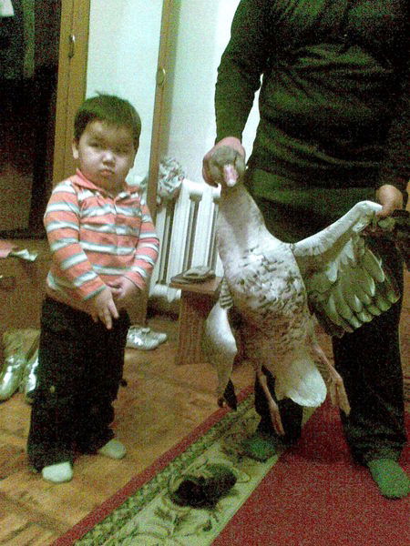 Турсынбек Бактыгалиев