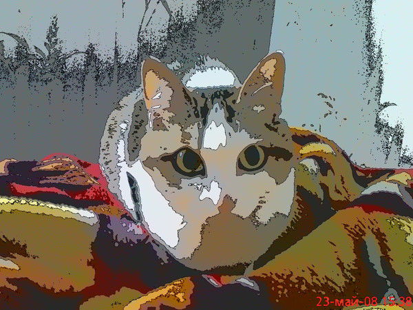 Наталья Томилова