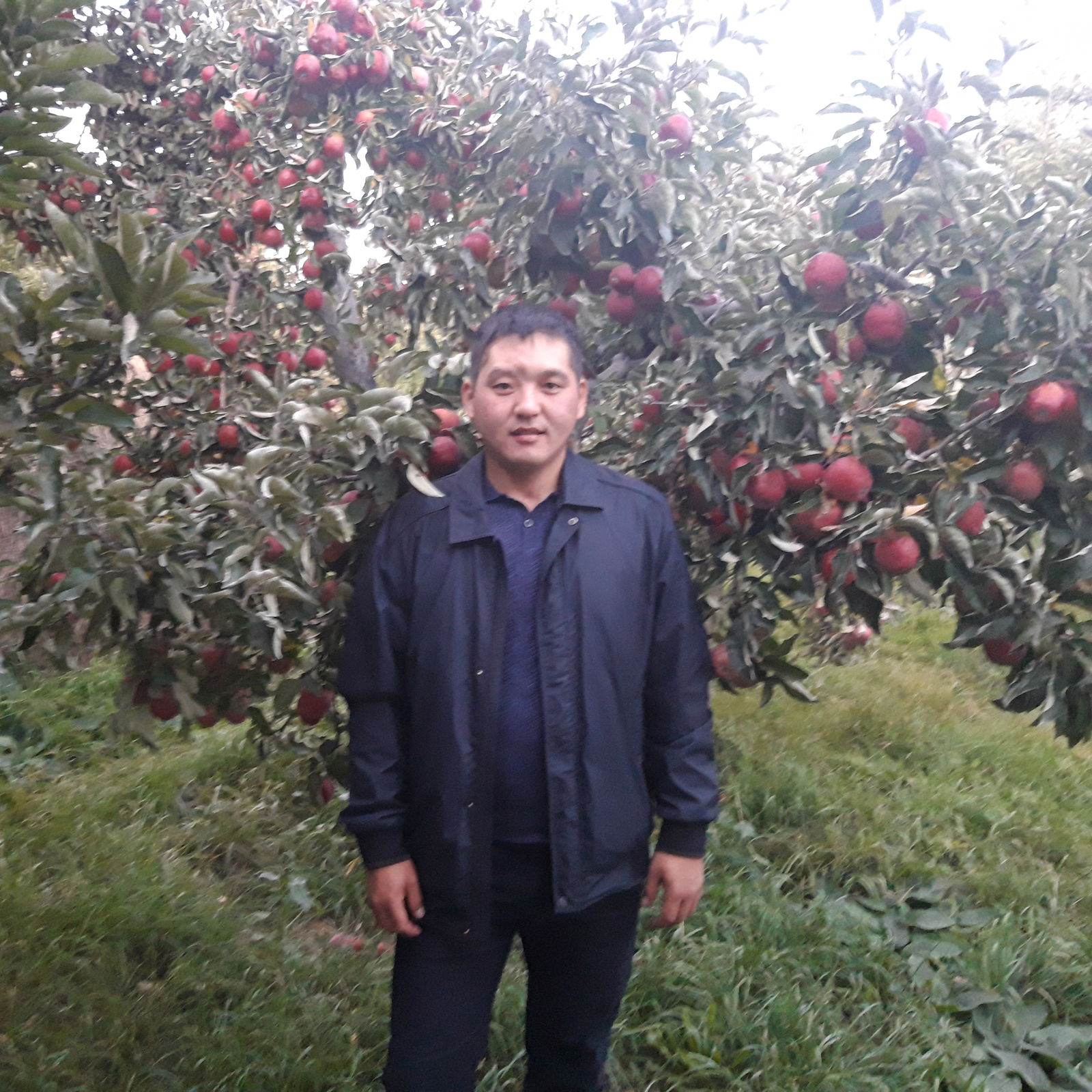 Азамат Абдиев