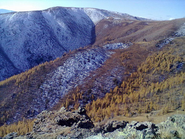 Элдигхем Дзунхемчик