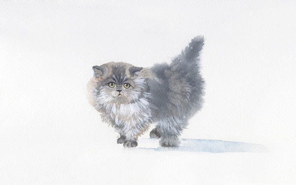 Светлана Попова