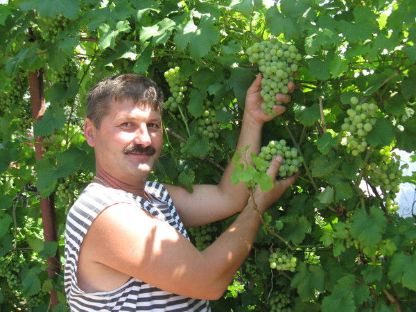 Геннадий Фоменко