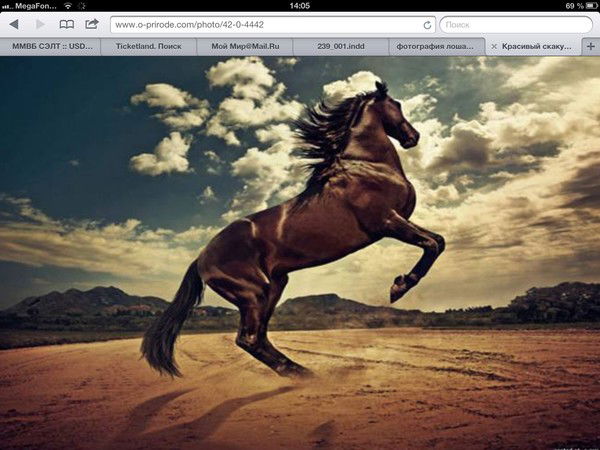 Олег Михайлович