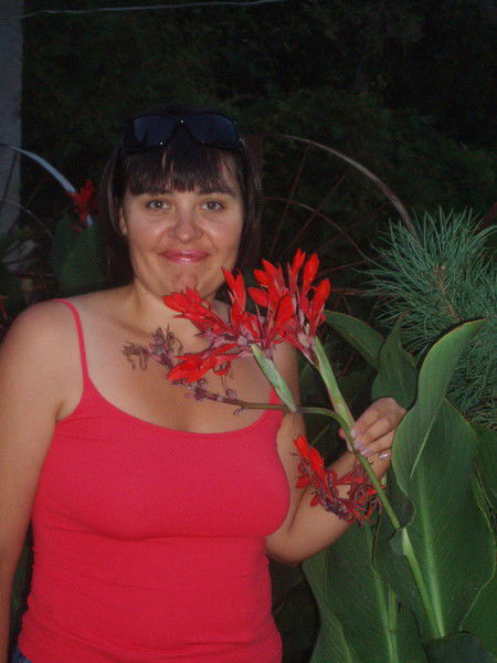 Елена Холодная