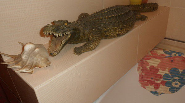 Наталья Трофимова