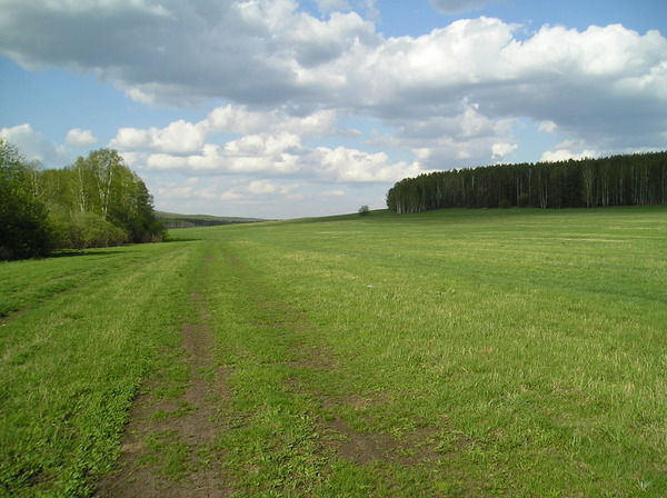 Дима Васильев