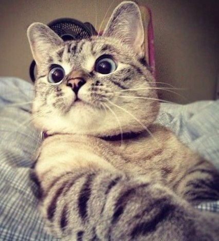 Игорь Сергеевич