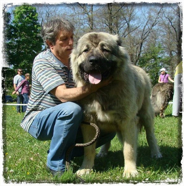 Татьяна Куделина