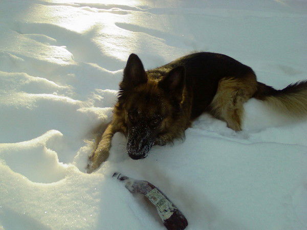 Решетова Елена