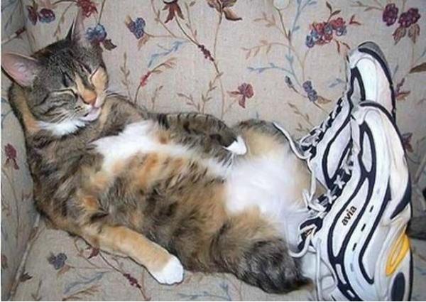 Алексей Иванов