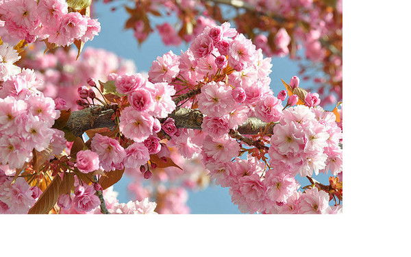 Наталья Судакова