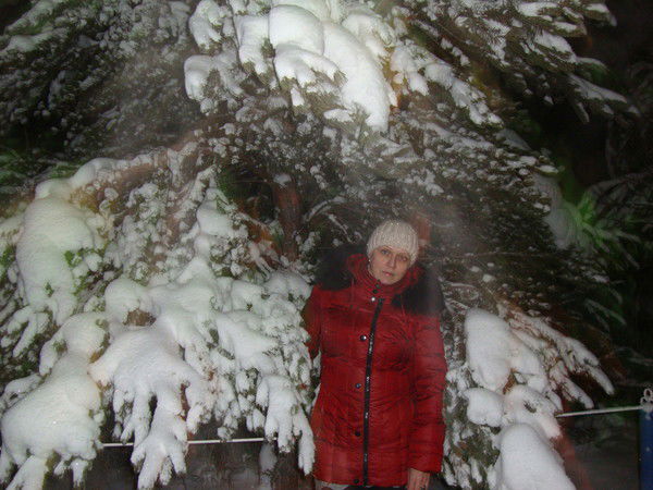 Марина Дронова