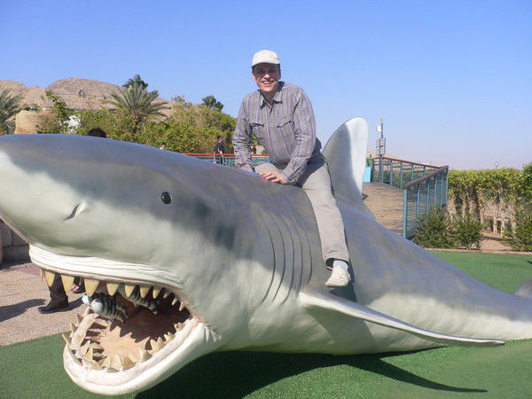 Виктор Качурин