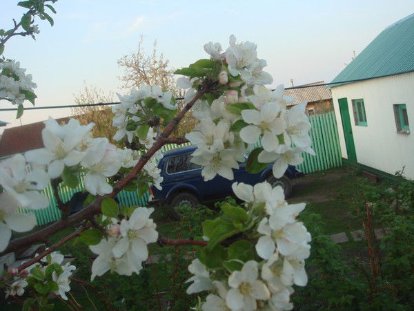 Фания Ганиева