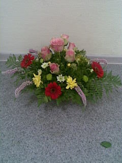 Марина Радушнова