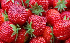 Дмитрий Грозенок