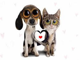 Оксана Залялютдинова